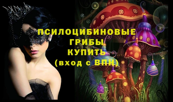 бошки Алзамай