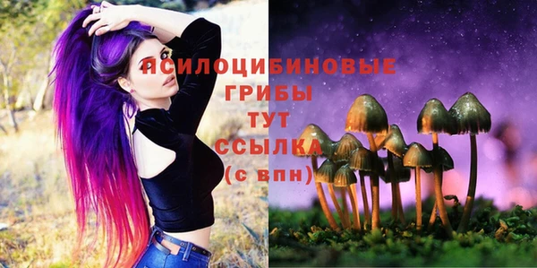 ешки Наволоки