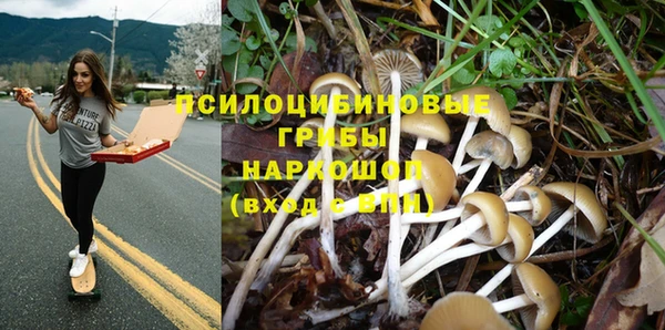 кокаин колумбия Алексин