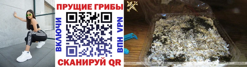 Псилоцибиновые грибы MAGIC MUSHROOMS  Аркадак 